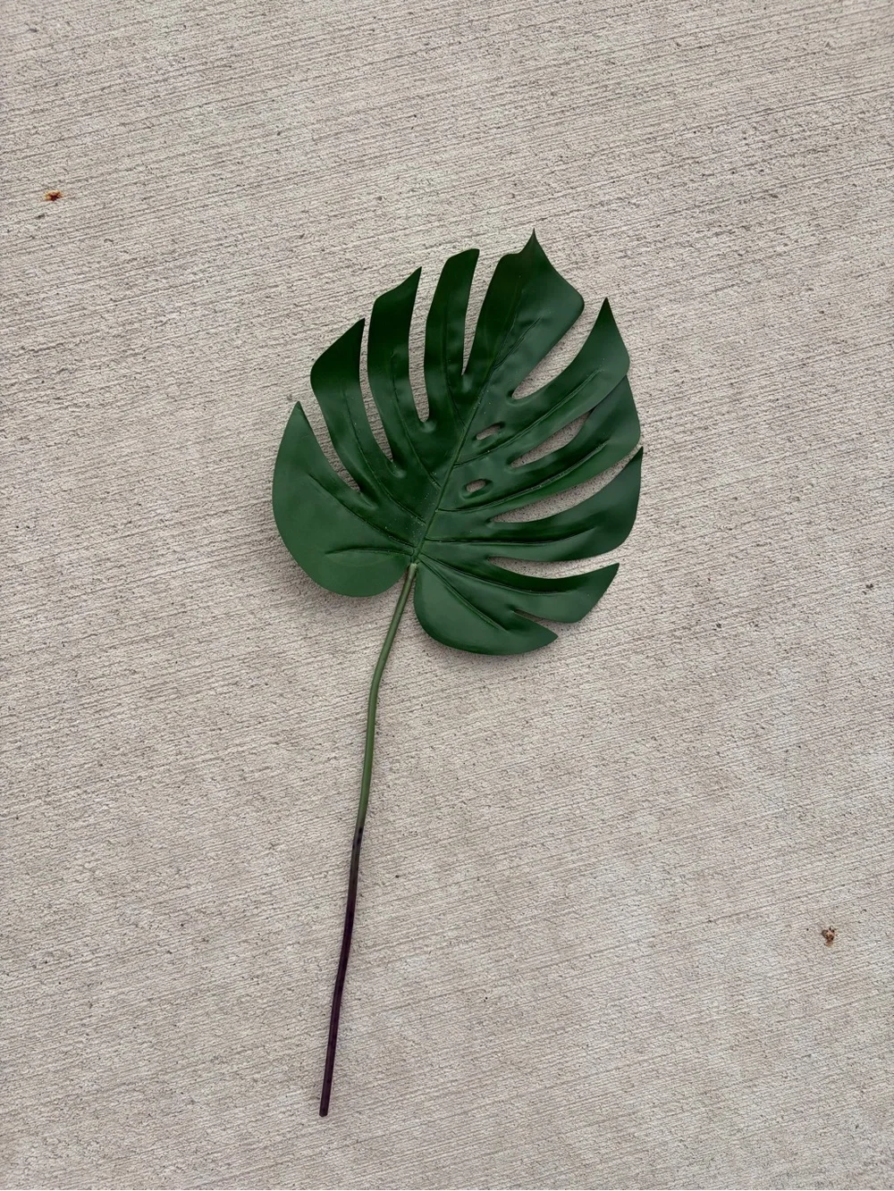 19 Artificial Monstera Leaves with Long Stem for Vase